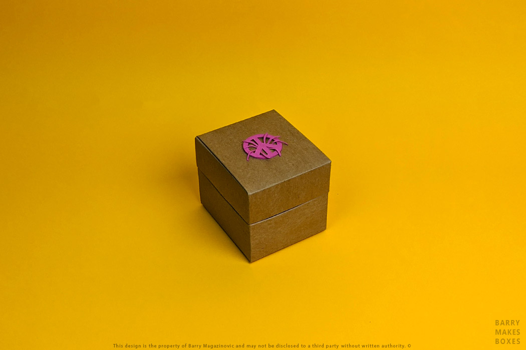 Australian Packaging Design, Product Design, Special Unique I come in Peace World Index Pink Grenade Exhibition Lid and base Recycled board on Orange by Barry Makes Boxes, Barry Magazinovic